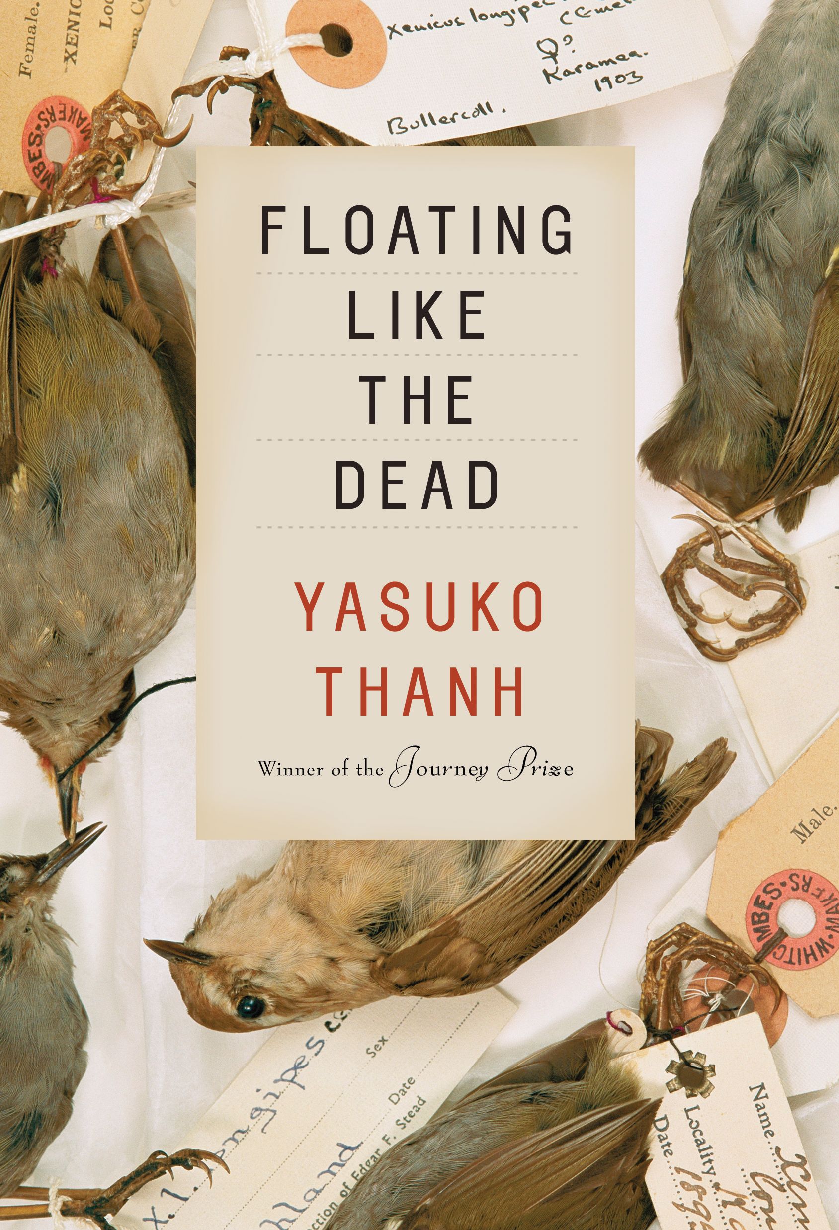thanh floating like the dead