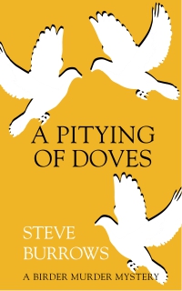 A_Pitying_of_Dov_54ee75491317d.jpg