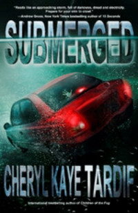 Submerged_513028eccf16b.jpg
