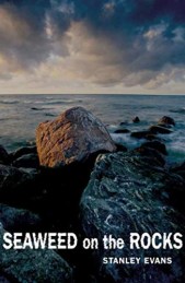 Evans-SeaweedontheRocks