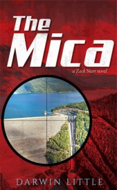 Little-Mica