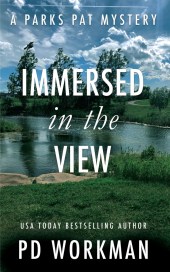 Workman-ImmersedintheView