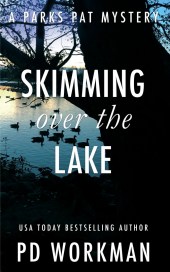 Workman-SkimmingOvertheLake